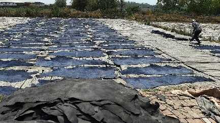 Kanpur tannery