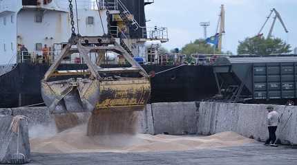 Workers load grain at a grain port in Izmail