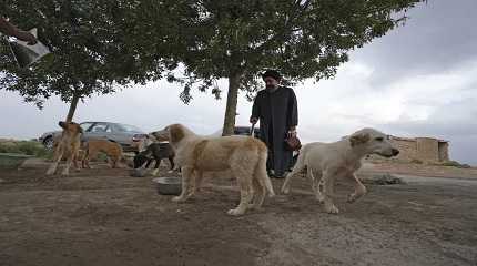 Iranian cleric Sayed Mahdi Tabatabaei