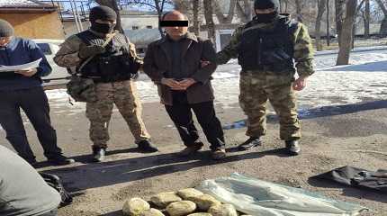 Police have arrested a drug smuggler