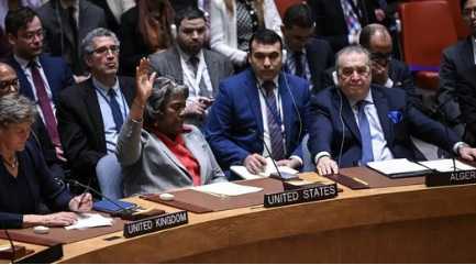 USA representative in UN Security Council