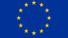  EU flag