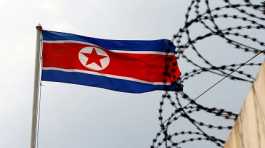 North Korea flag