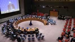 UN Security Council