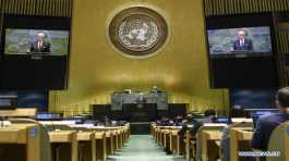 UN General Assembly