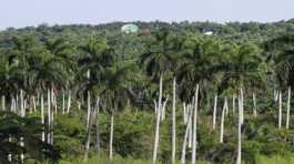 structures belonging to a Cuban military base